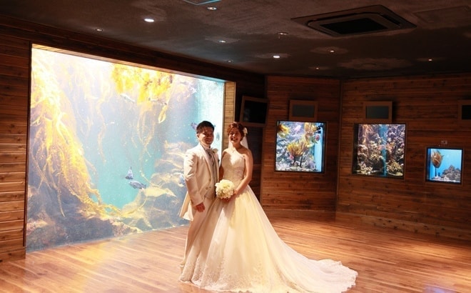 aquarium03.jpg