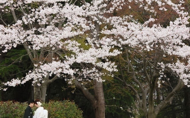 青葉山公園