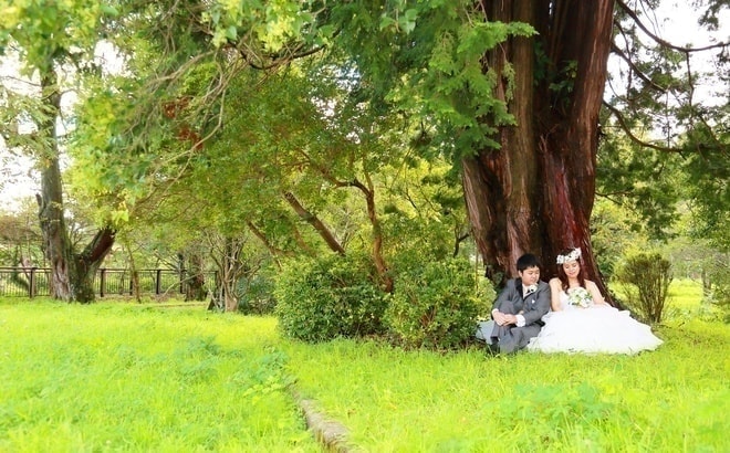 青葉山公園