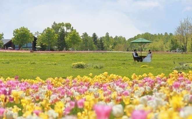滝野すずらん丘陵公園