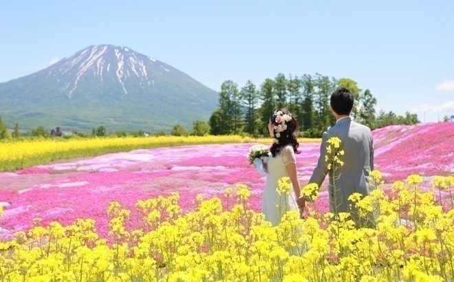 ニセコ